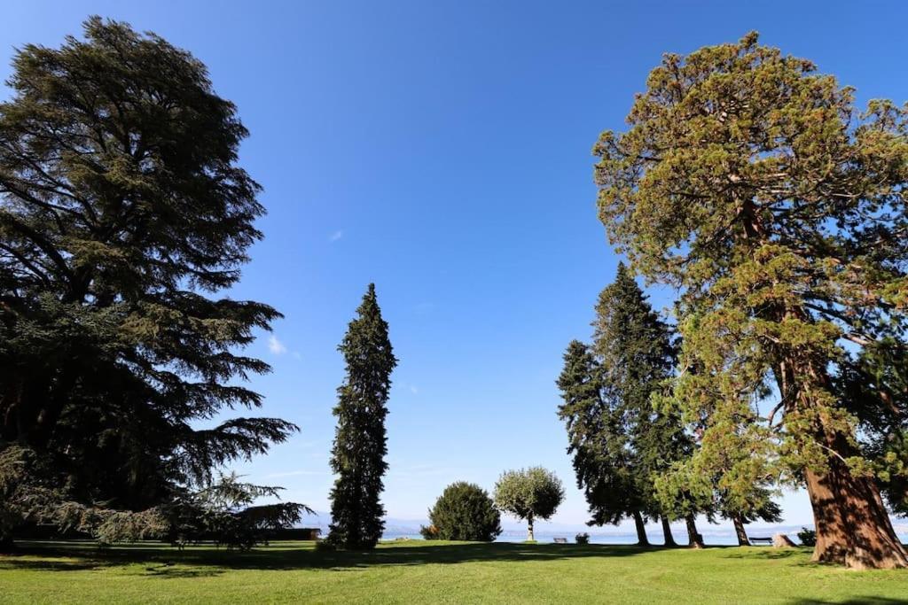 L'Escale Du Leman Apartment Publier ภายนอก รูปภาพ