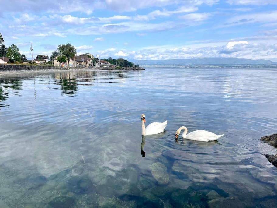L'Escale Du Leman Apartment Publier ภายนอก รูปภาพ